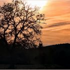 Les couchers de soleil à la campagne....