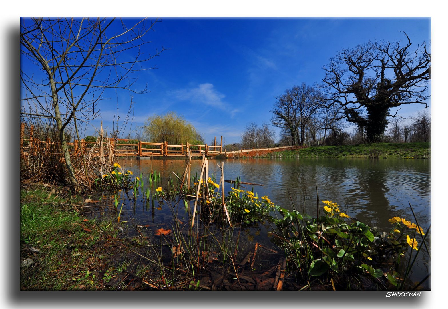 Les coudes dans l'eau...