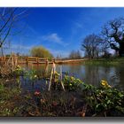 Les coudes dans l'eau...