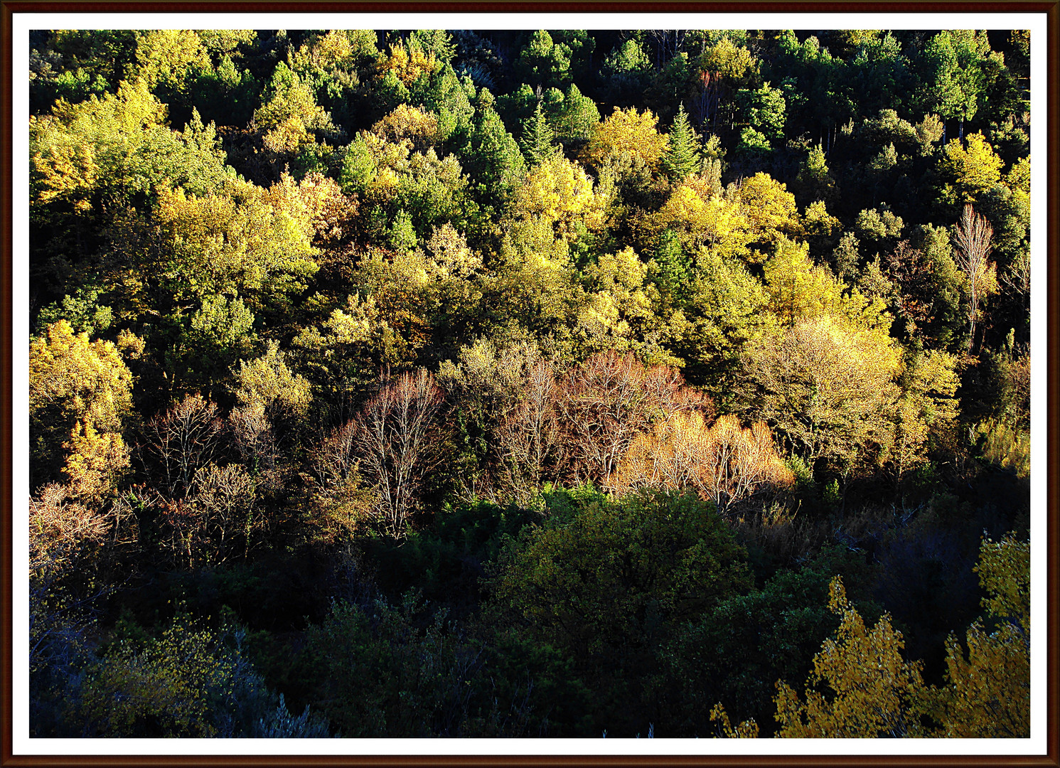 les couleur de l automne