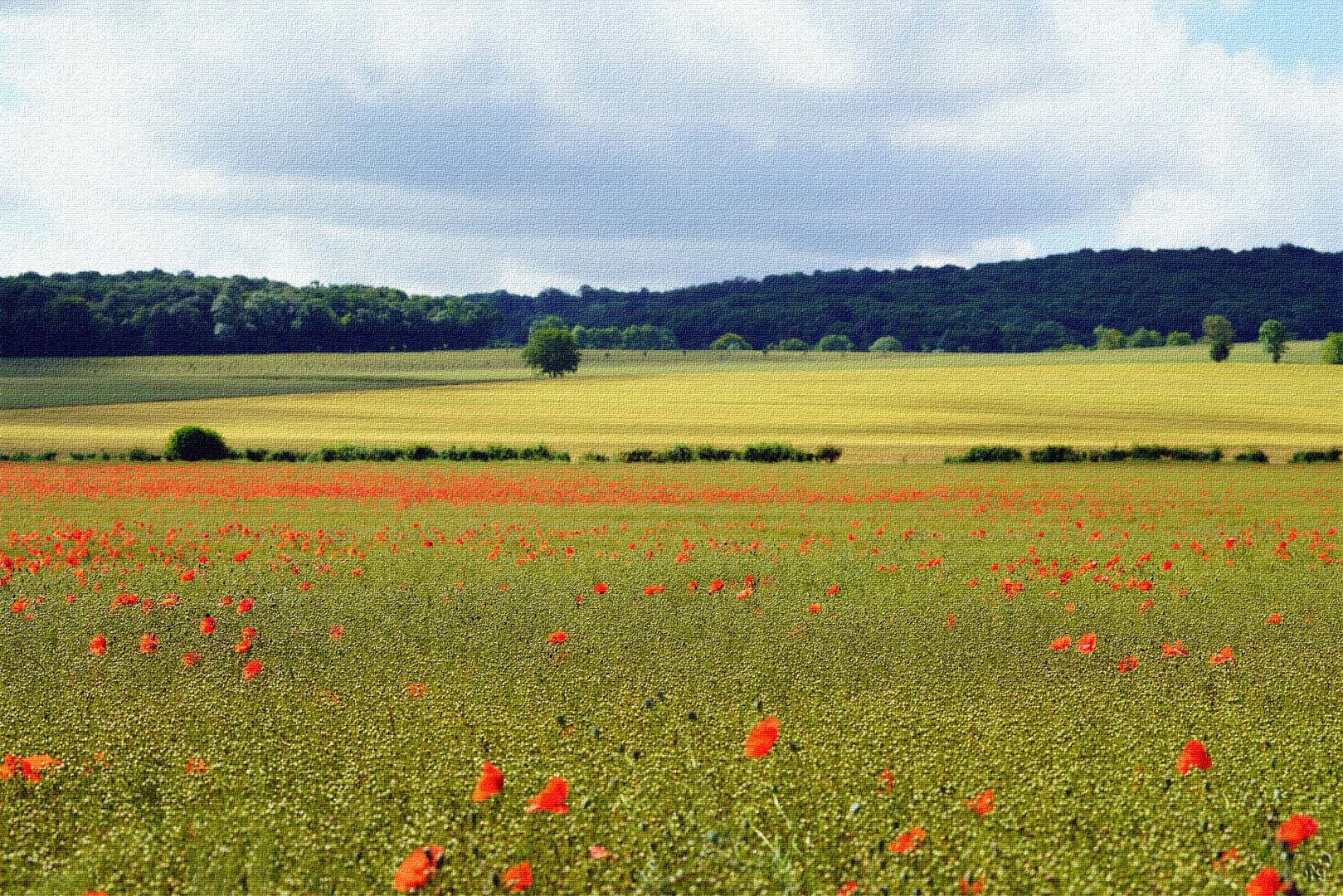 Les couleurs à la Campagne