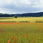 Les couleurs à la Campagne