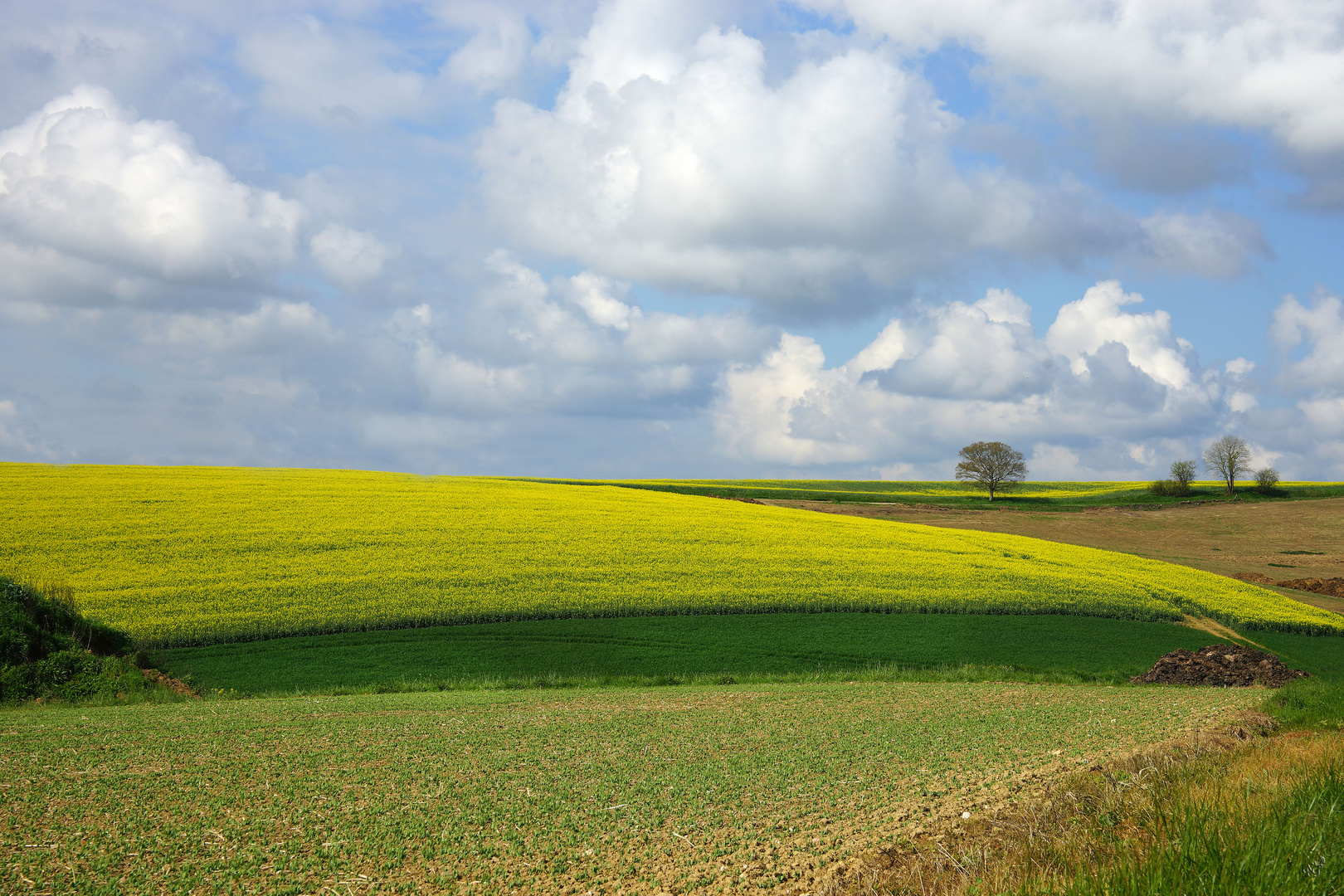 Les couleurs à la campagne