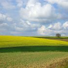 Les couleurs à la campagne