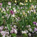 Les couleurs au Jardin de MONET....