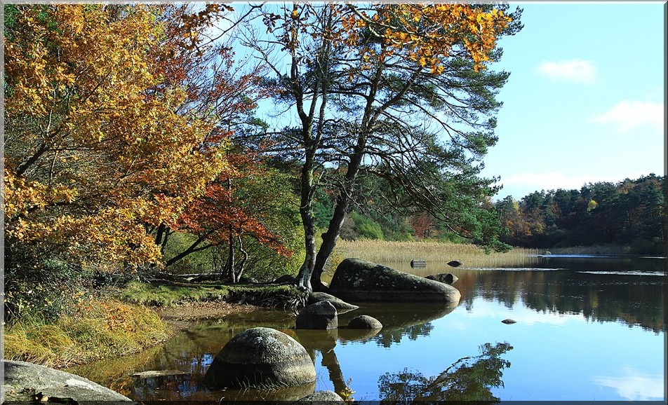 LES COULEURS D'AUTOMNE AUX BORD DE L'EAU