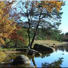 LES COULEURS D'AUTOMNE AUX BORD DE L'EAU