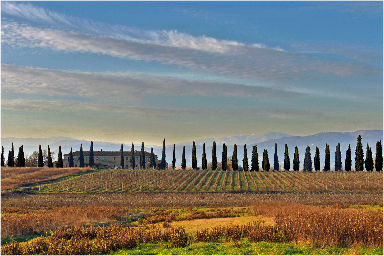 les couleurs de janvier en campagne toscane 