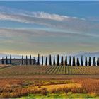 les couleurs de janvier en campagne toscane 