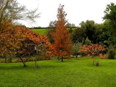 LES COULEURS DE L AUTOMNE