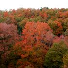 les couleurs de l automne