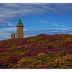 Les couleurs de la Bretagne.........