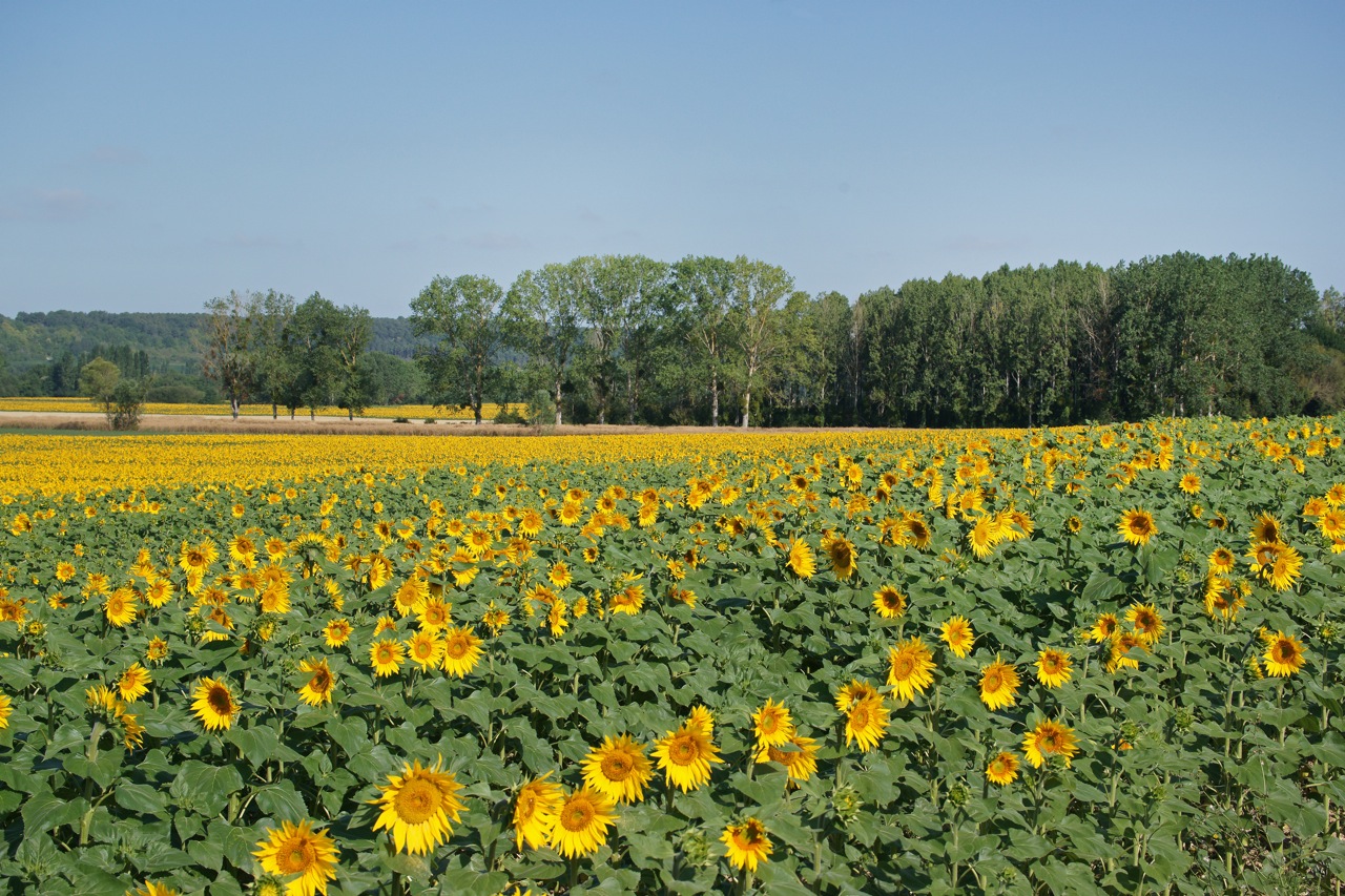 Les couleurs de la campagne