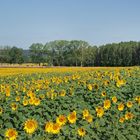 Les couleurs de la campagne