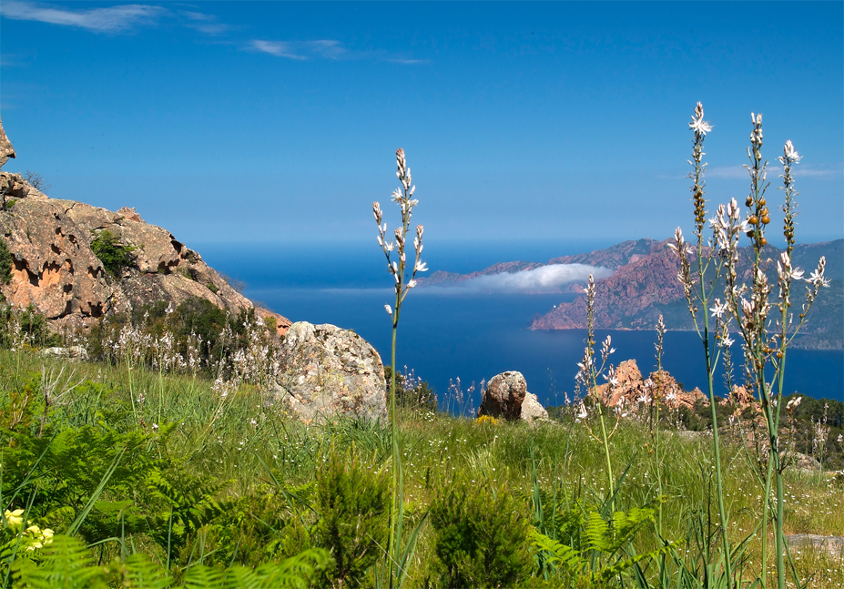 Les couleurs de la Corse