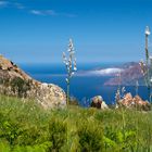 Les couleurs de la Corse