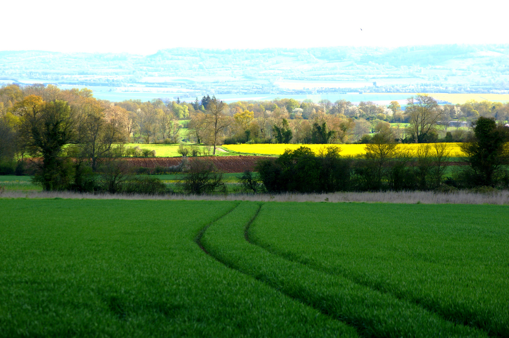 les couleurs de la Normandie 