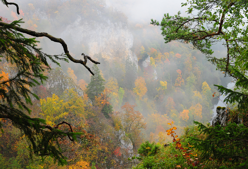 Les couleurs de l'automne #1