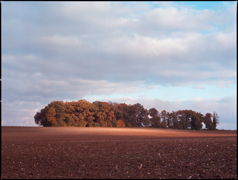 Les couleurs de l'automne (1)