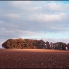 Les couleurs de l'automne (1)