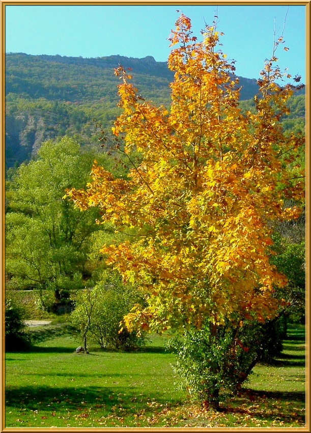 Les couleurs de l'automne