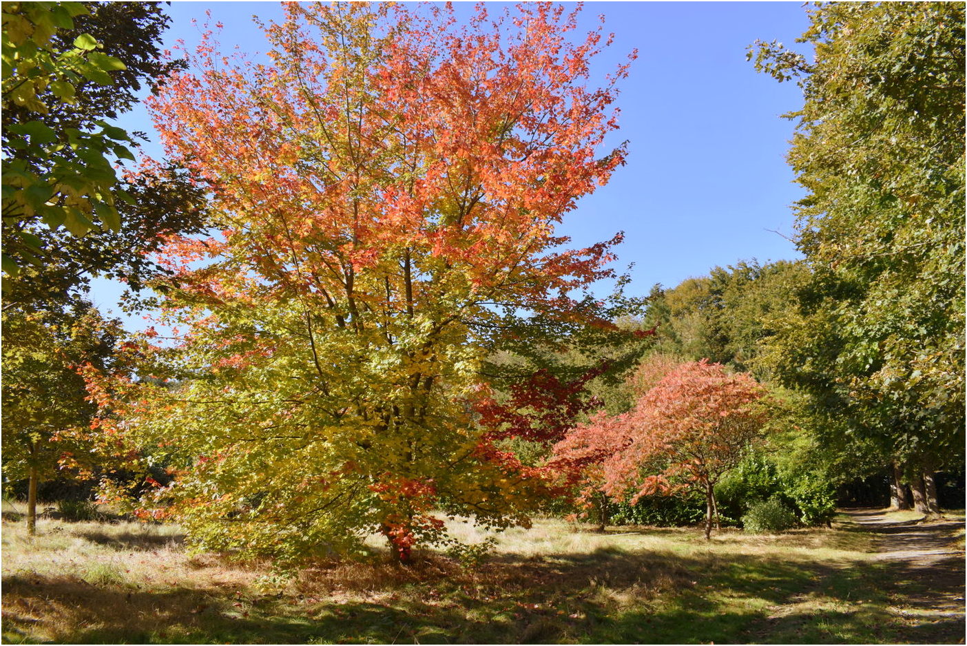 les couleurs de l'automne