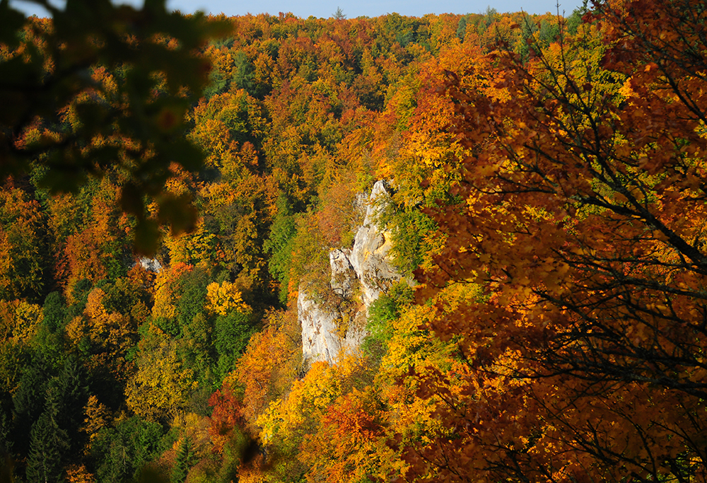 Les couleurs de l'automne #2