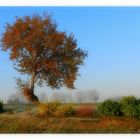 les couleurs de l'automne