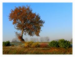 les couleurs de l'automne