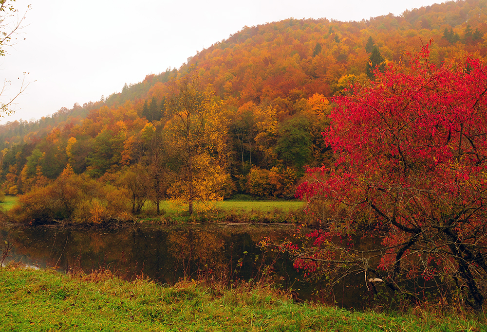 Les couleurs de l'automne #4