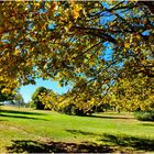 Les couleurs de l'automne