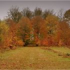 les-couleurs-de-l'automne