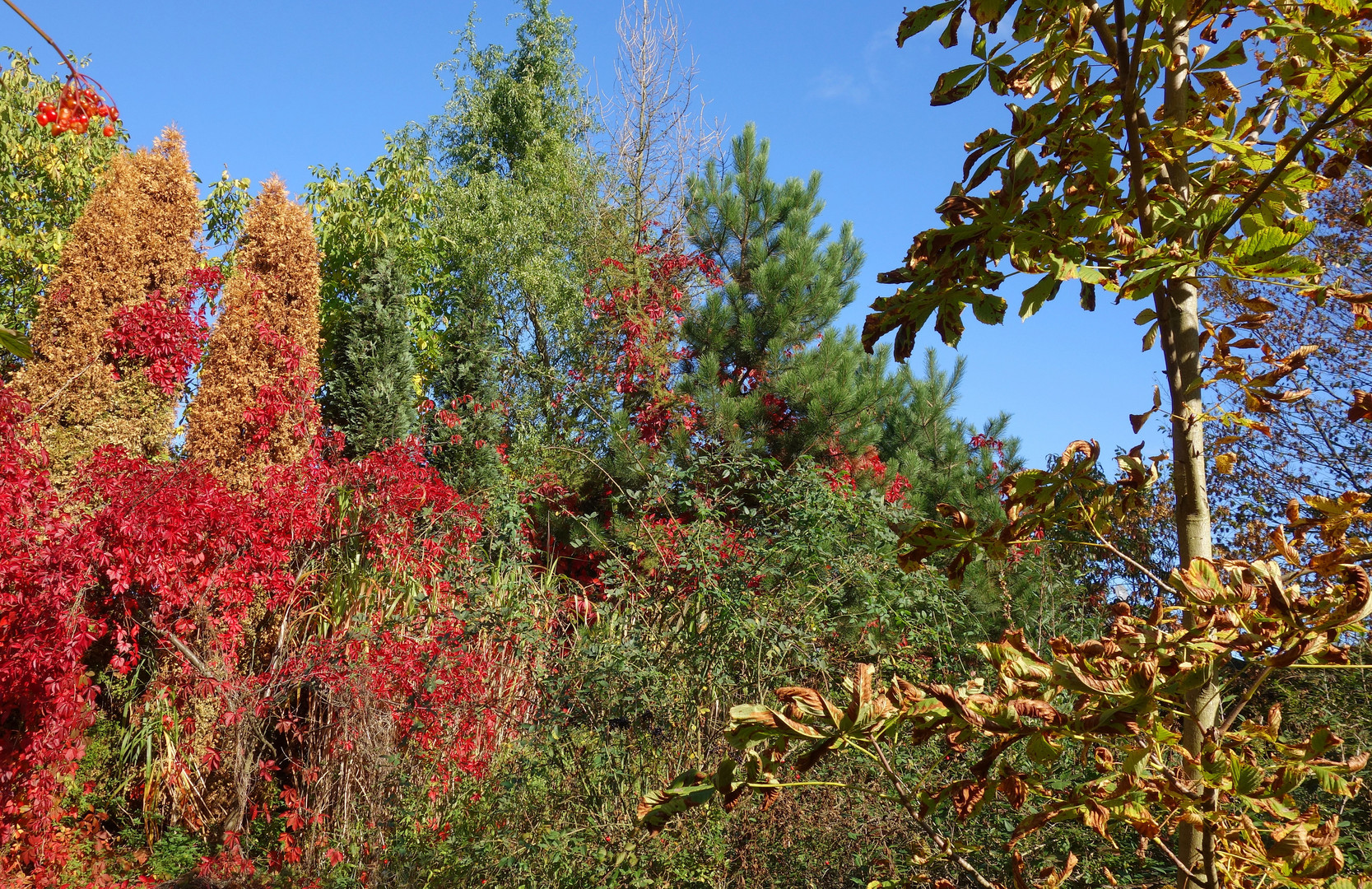 Les couleurs de l´automne