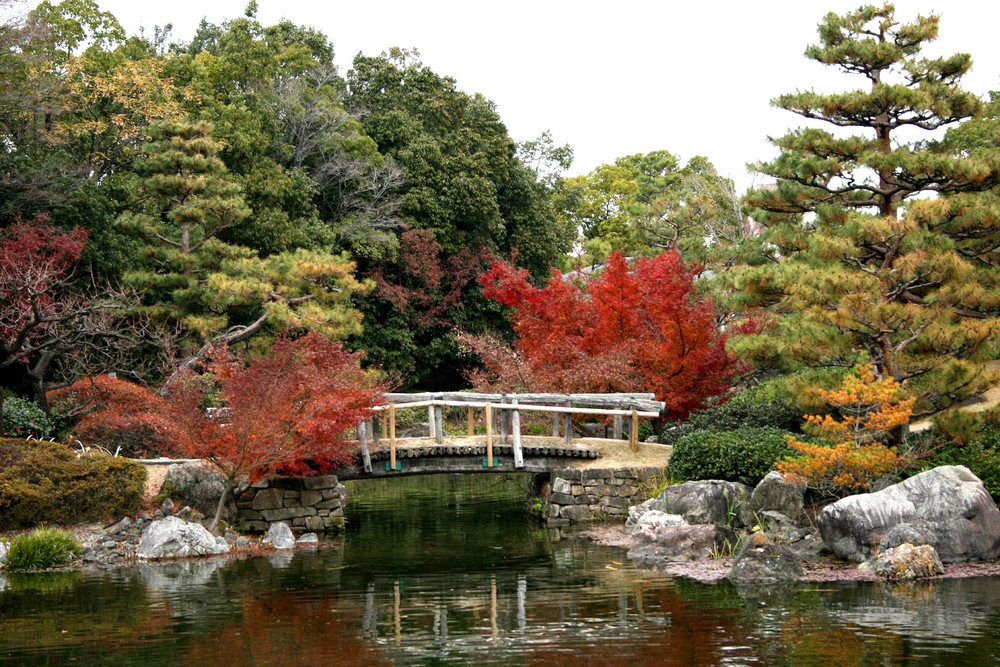 Les couleurs de l'automne au Japon