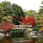 Les couleurs de l'automne au Japon