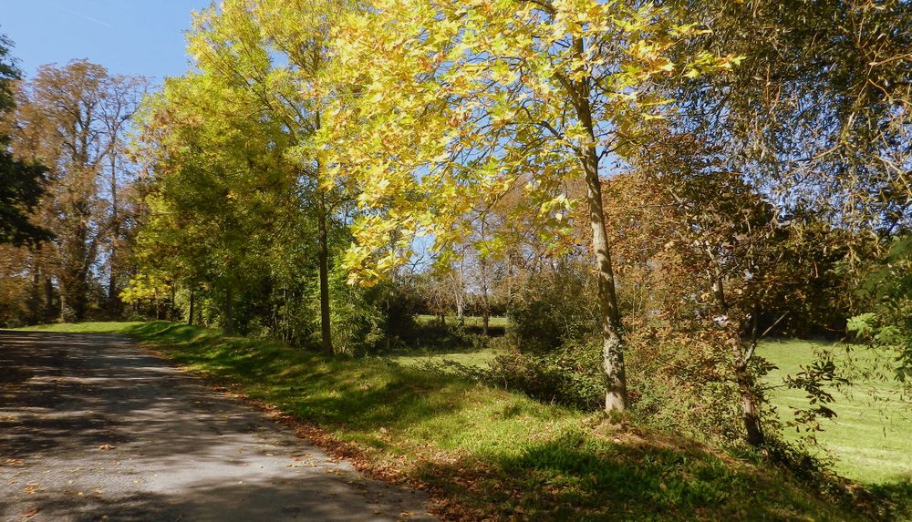 les couleurs de l'automne