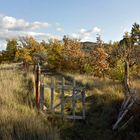 Les couleurs de l'automne