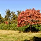 les couleurs de l'automne