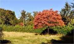 les couleurs de l'automne