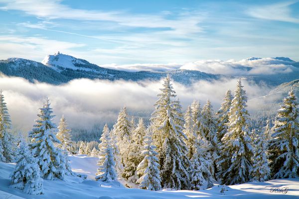 Les couleurs de l'hiver