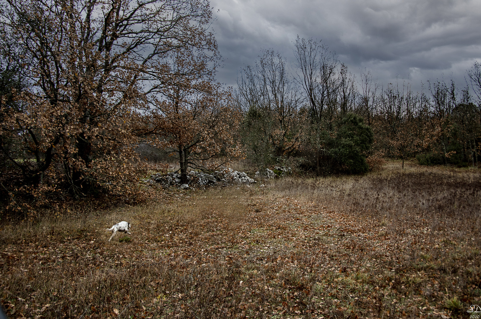 Les couleurs de l'hiver 