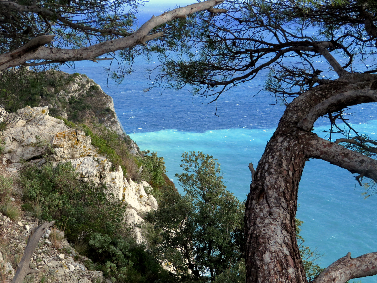 Les couleurs de Liguria