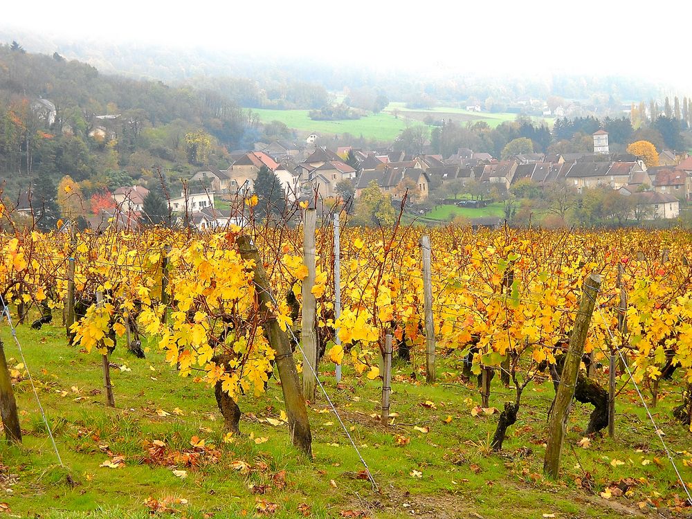 LES COULEURS DU JURA EN AUTOMNE