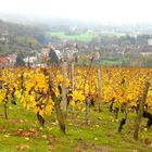 LES COULEURS DU JURA EN AUTOMNE