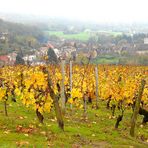 LES COULEURS DU JURA EN AUTOMNE