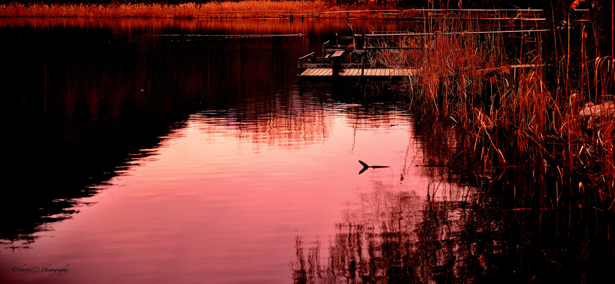 Les couleurs du lac