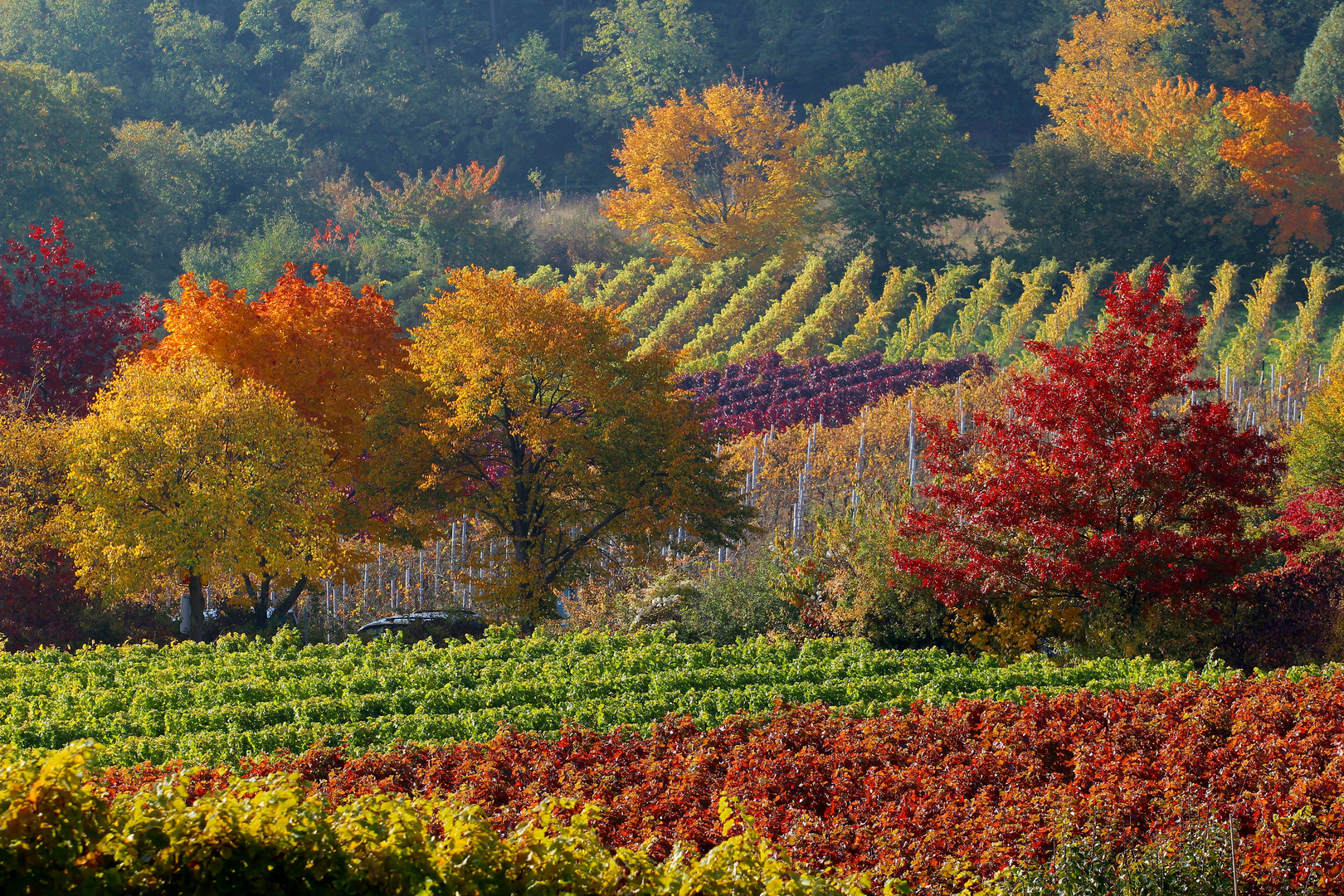 Les couleurs du l'automne