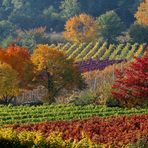 Les couleurs du l'automne