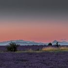 les couleurs du soir