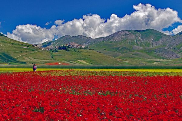 les couleurs me sont restèes dans les yeux ...